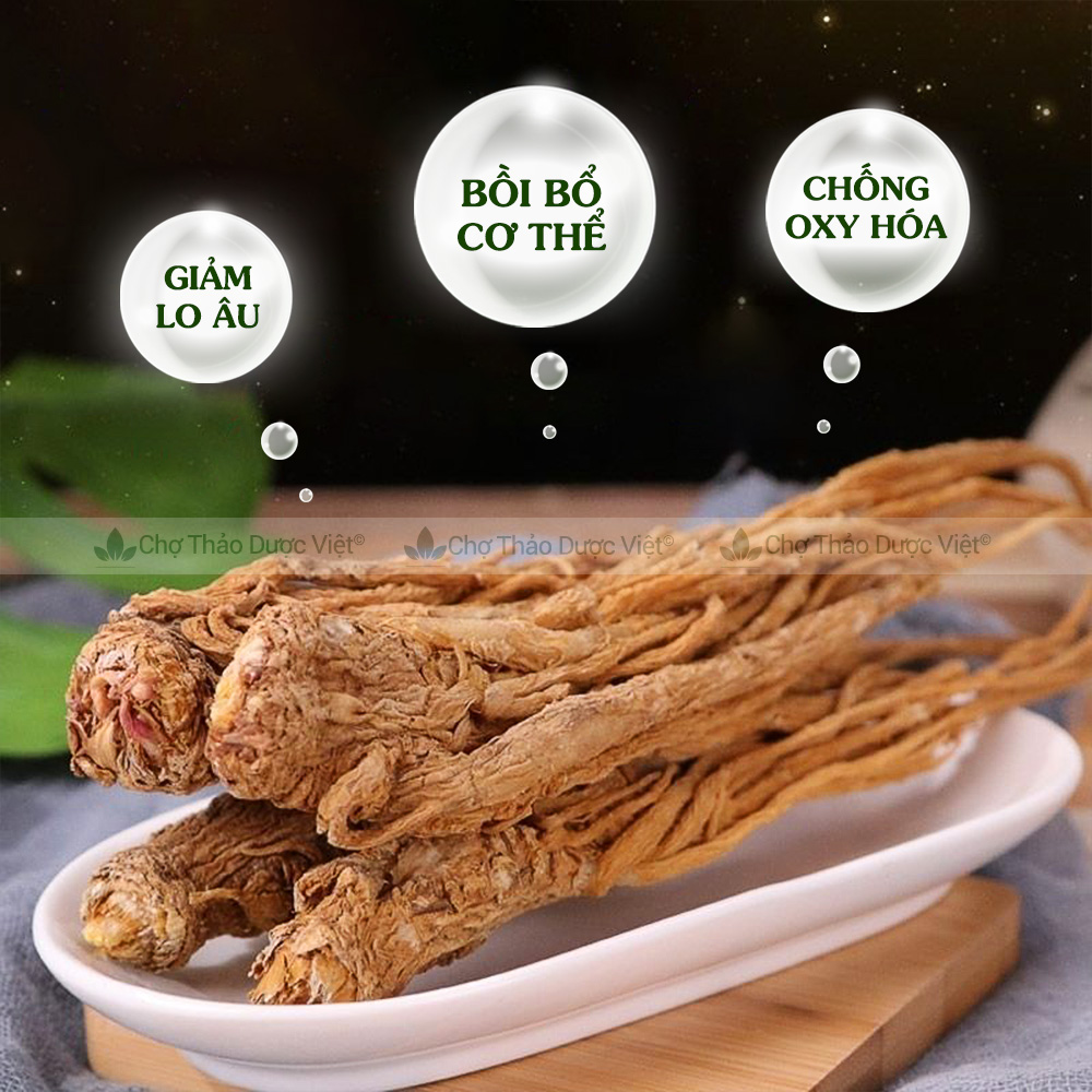 Sâm đương quy loại 1, củ to đẹp 100g