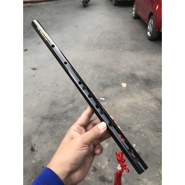 Sáo trúc trần tình