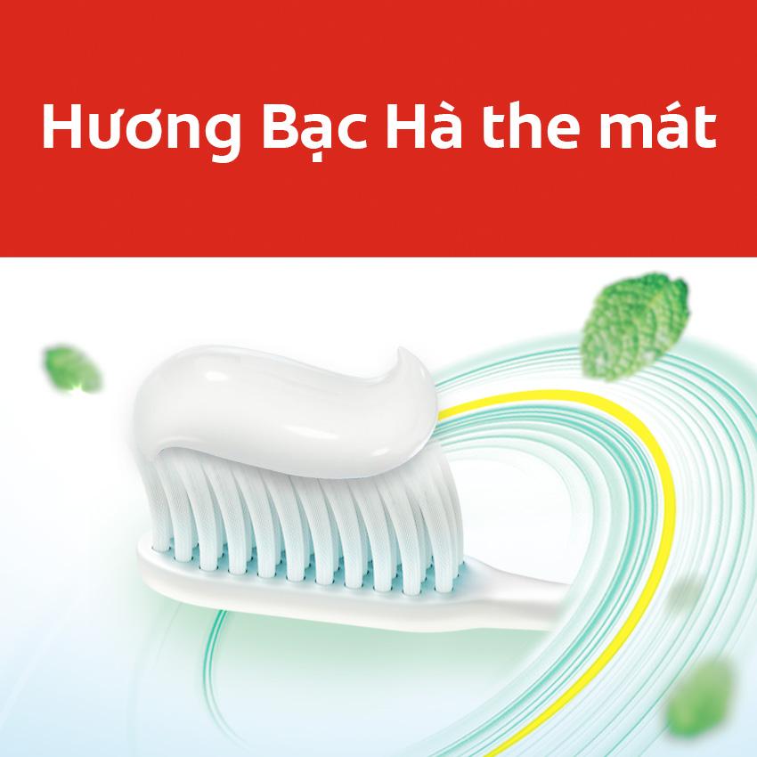 Kem đánh răng Colgate ngừa sâu răng 100g x 10