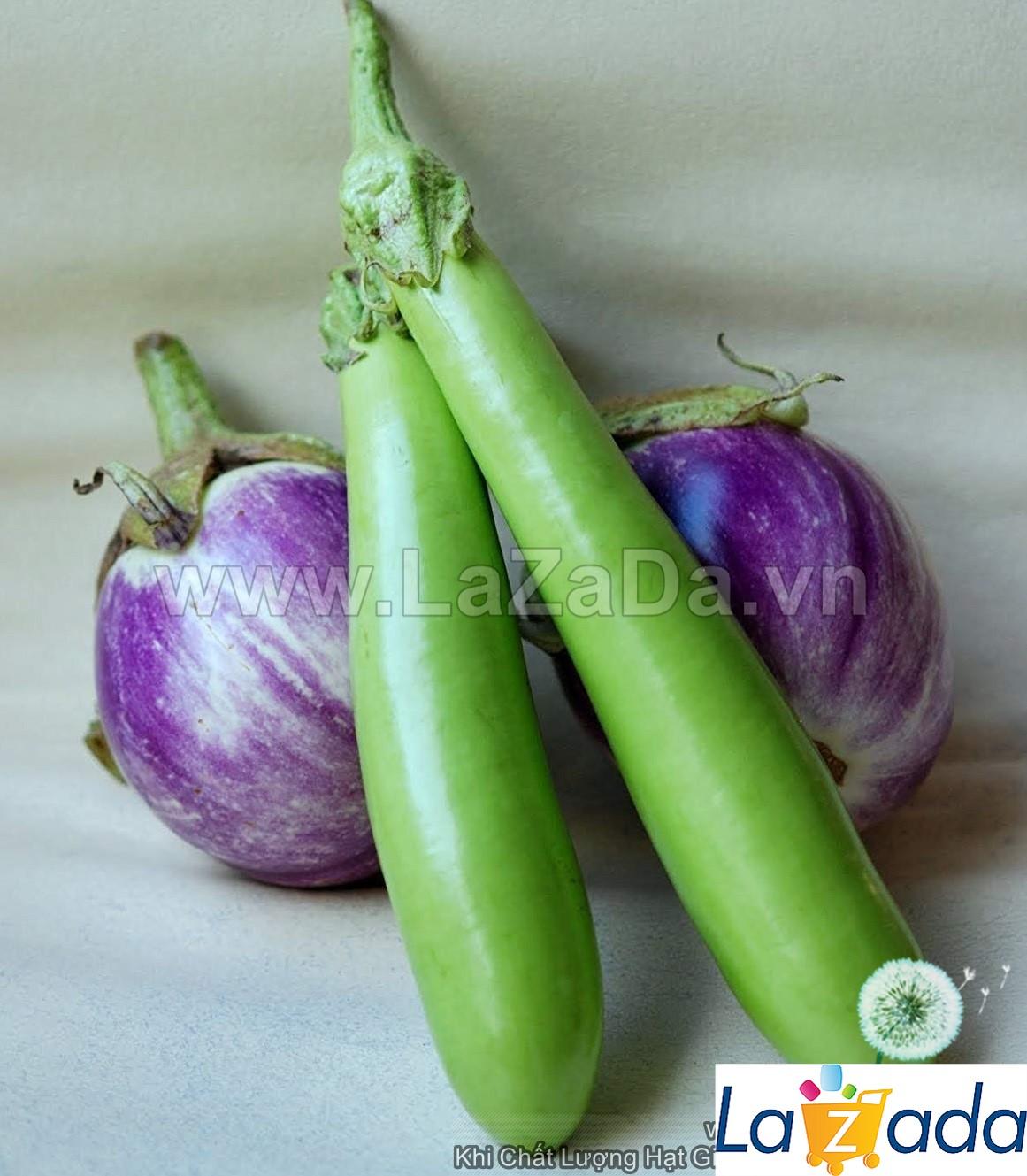 0.5Gr Hạt Giống Cà Xanh Mỡ Dài (B1.102| B28*X44*M214)