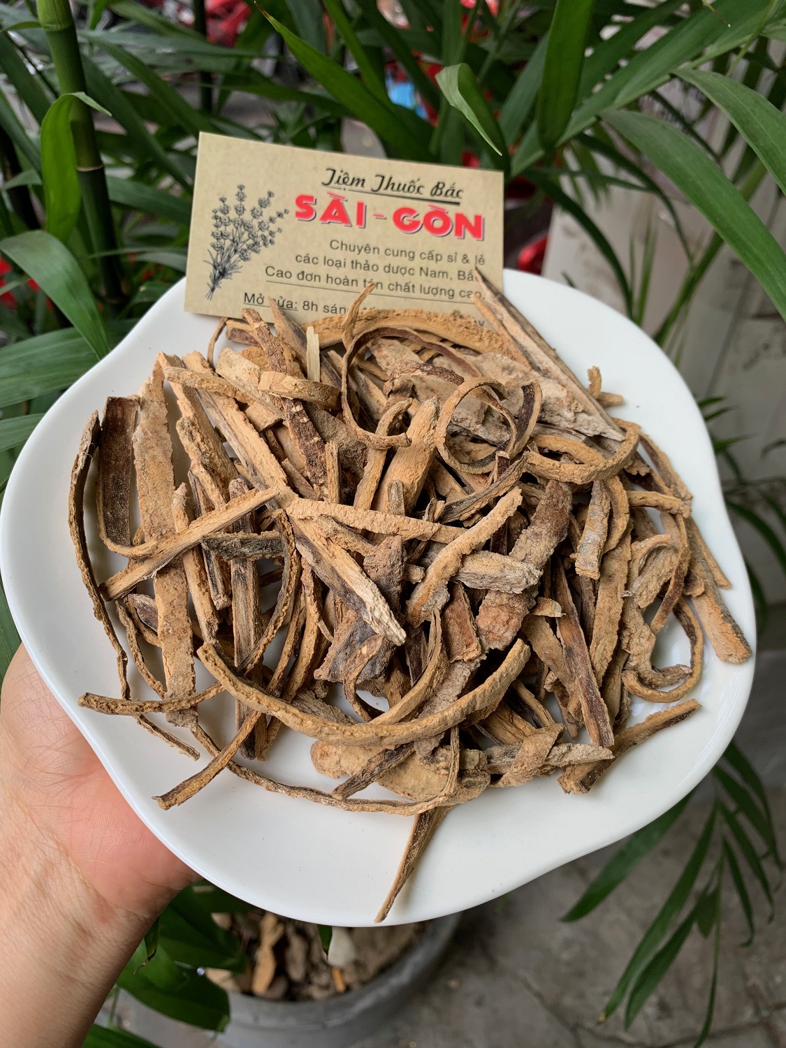 Bạch dương bì 100gram tiệm th.uốc bắc sài gòn