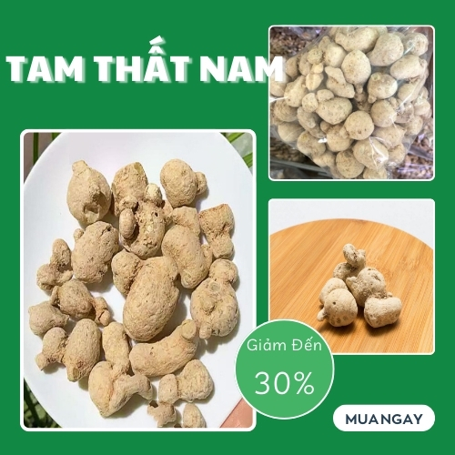 Củ tam thất nam 100g - Dược Tấn Phát - Hàng sạch thơm cao cấp