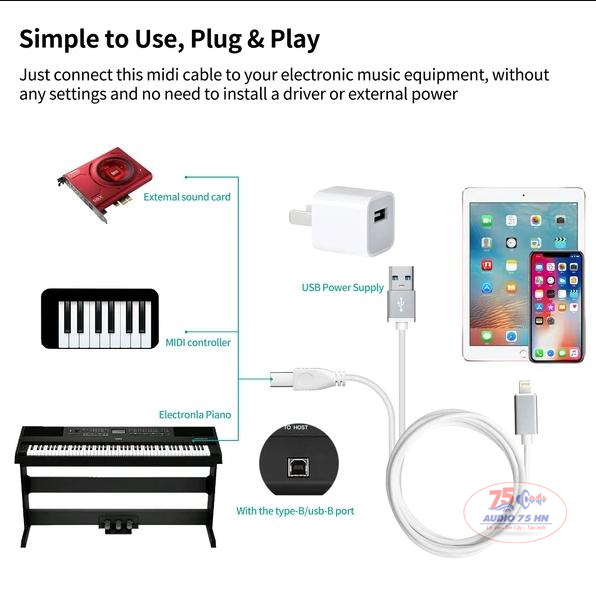 Dây chuyển đổi từ Lightning ra USB Type A và Type B - Dây Iphone ra DAC