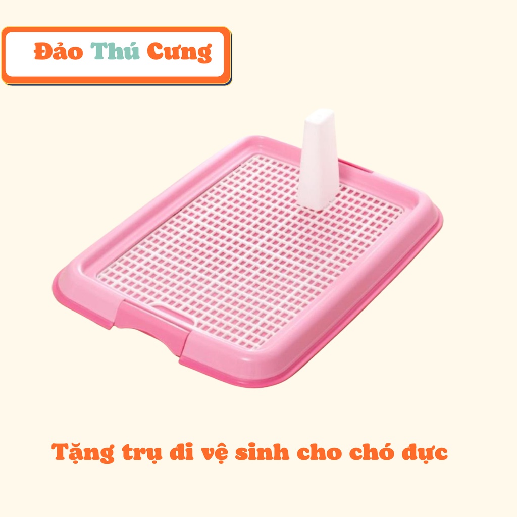 Khay Vệ Sinh Cho Chó - Đảo Thú Cưng