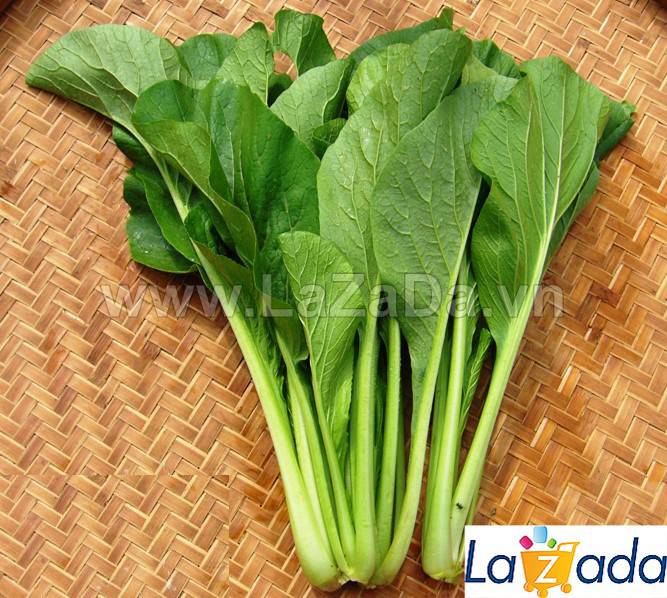 20Gr Hạt Giống Cải Ngọt (A3.301| G1*W24*M121)