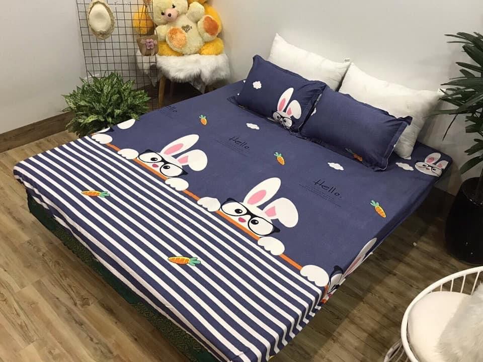 Ga trải giường cotton poly thoáng mát cao cấp