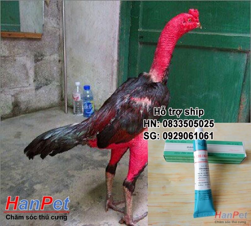 HN-(Thu ốc GÀ CHỌI) Thu ốc tan đòn gà chọi, tan bết thương gà đá, nhanh liền da chiến kê dạng tuyp bôi 15gr -