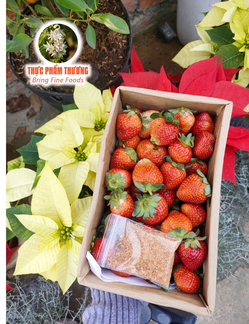 Fresh Strawberry (Origin of Produce: Dalat)