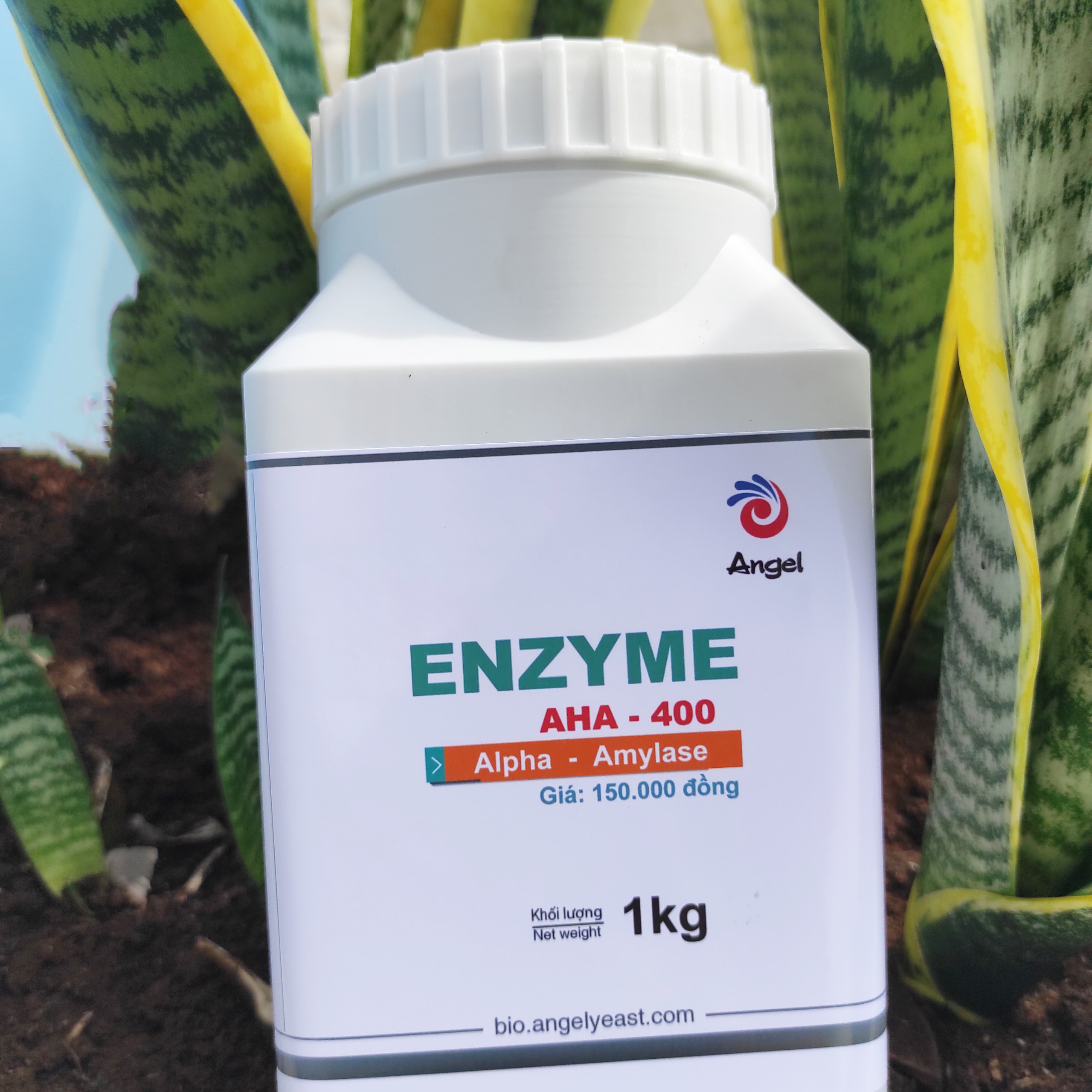 Enzyme Alpha Amylase AHA 400 -1kg  dạng lỏng