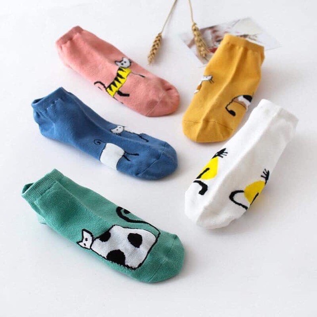 [HCM]TẤT NỮ HÌNH THÚ CUTE