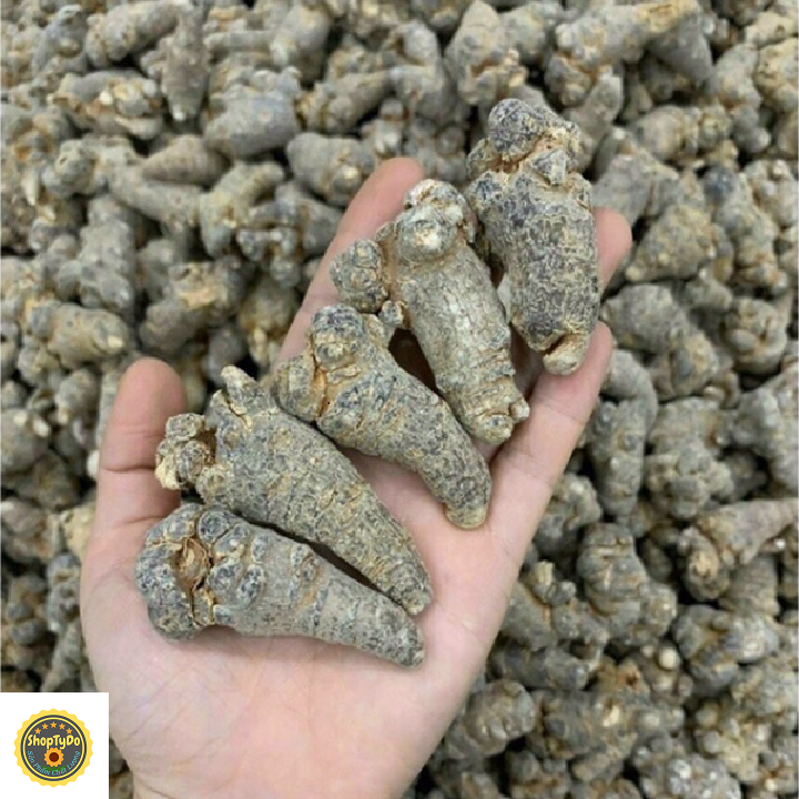Củ Tam Thất Bắc Rừng thượng hạng khô 100 gram (loại 6-8 củ)
