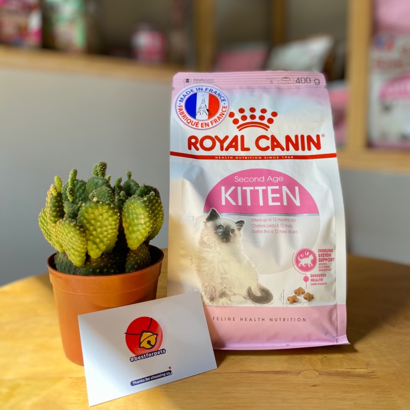 Thức ăn cho mèo Royal Canin Kitten - nhập khẩu chính hãng