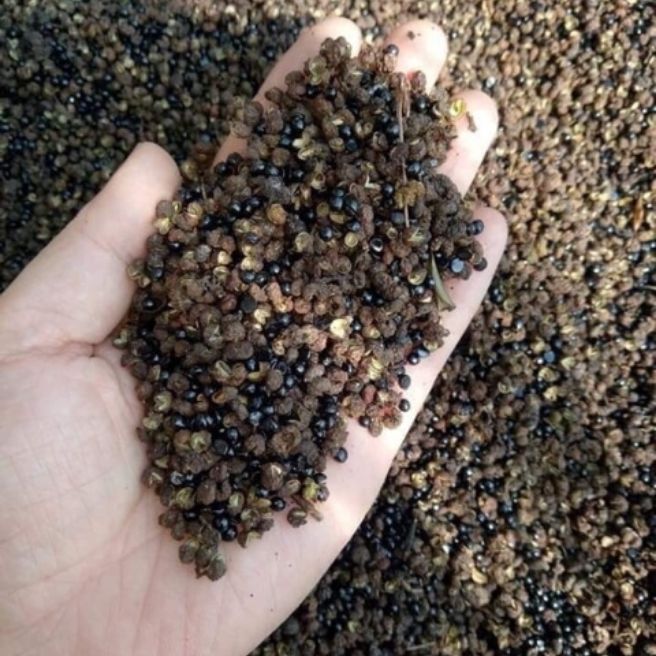 Sỉ toàn quốc 100g hạt mắc khén