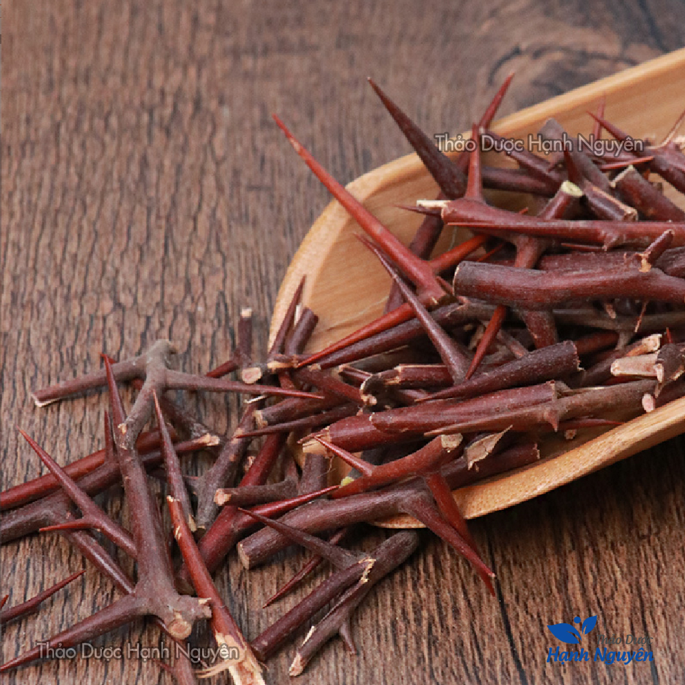 Gai bồ kết khô 1kg (Tạo giác thích)