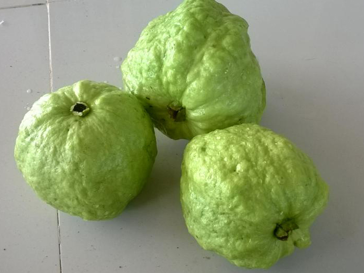 BỘ 10 CÂY GIỐNG ỔI NỮ HOÀNG