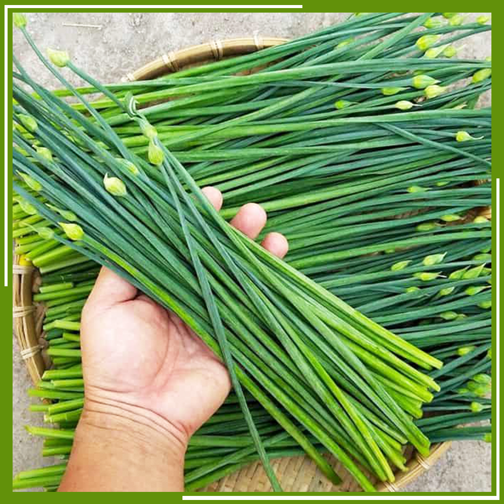 HCM - Bông hẹ (200 g) - [Giao nhanh TPHCM]