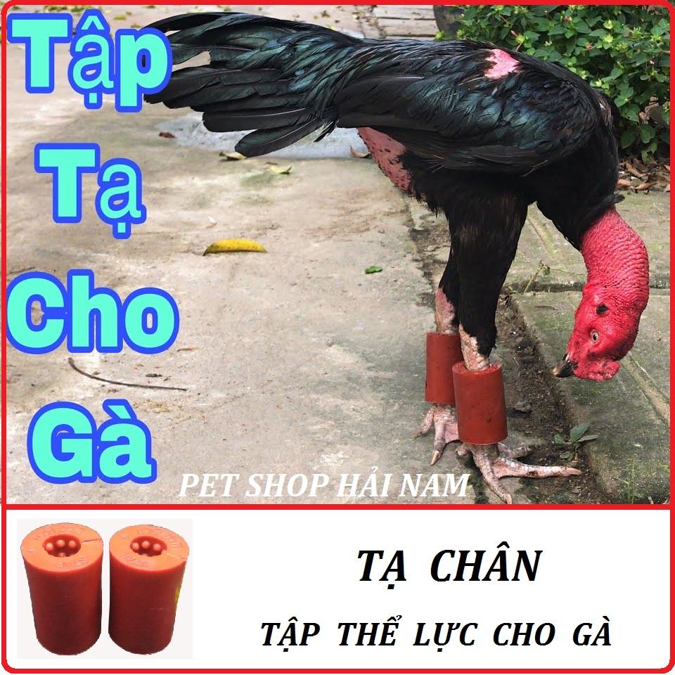COMBO 4 ĐÔI TẠ CHÂN TẬP THỂ LỰC CHO GÀ