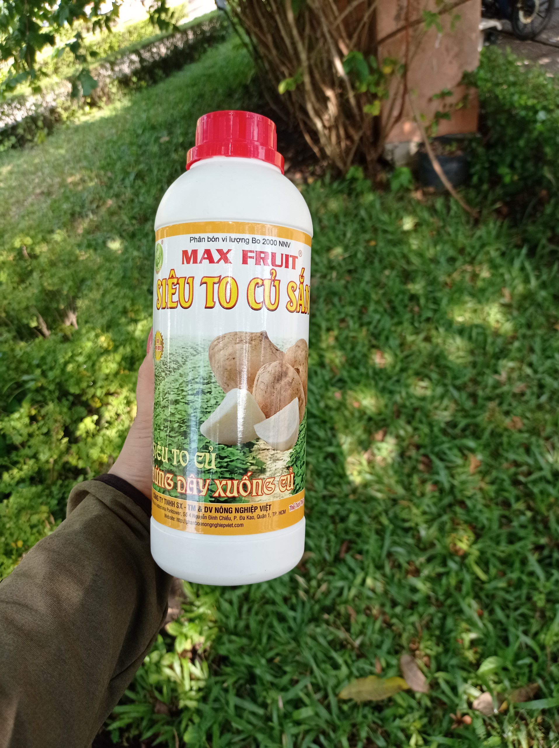 MAX FRUIT SIÊU TO CỦ SẮN 1 LÍT