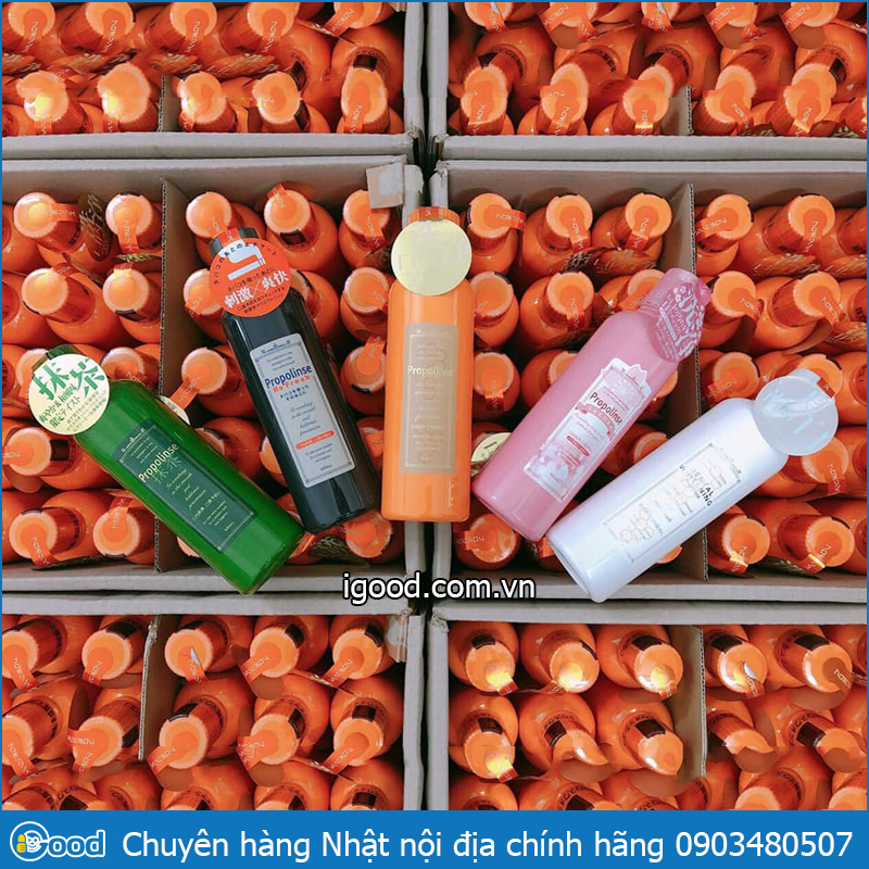 Nước súc miệng Propolinse NHẬT BẢN 600ml