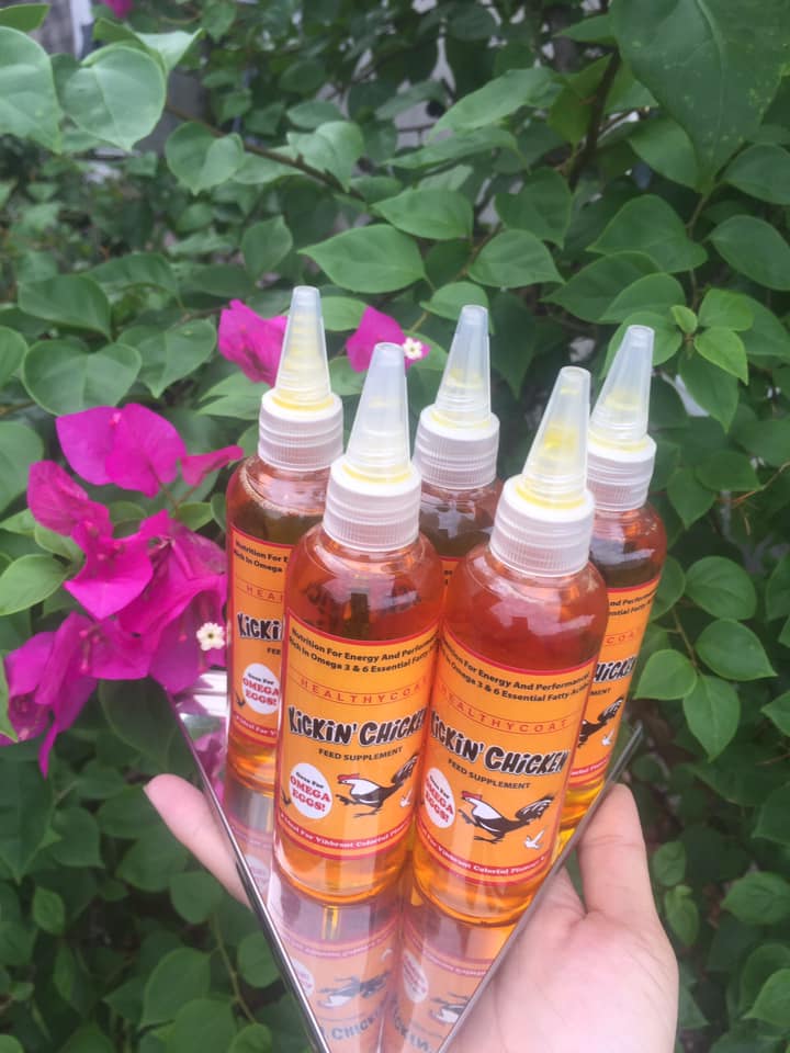 [ĐT]  KICKIN CHICKEN dinh dưỡng, mượt lông, bóng lông gà đá 100ml