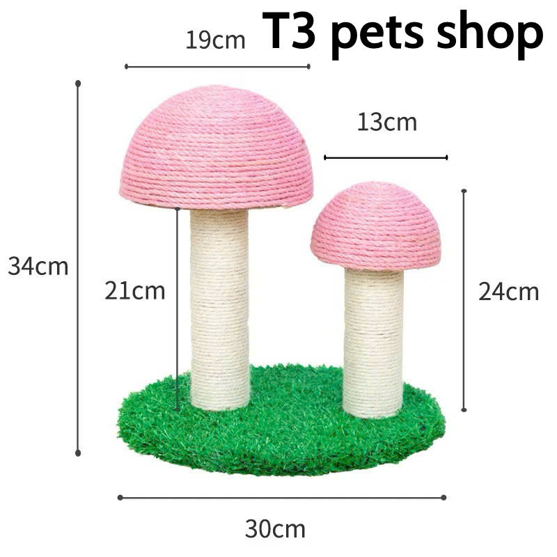 trụ mèo ( CAT TREE ) hình cây nấm dành cho bé iu - T3 PETS SHOP