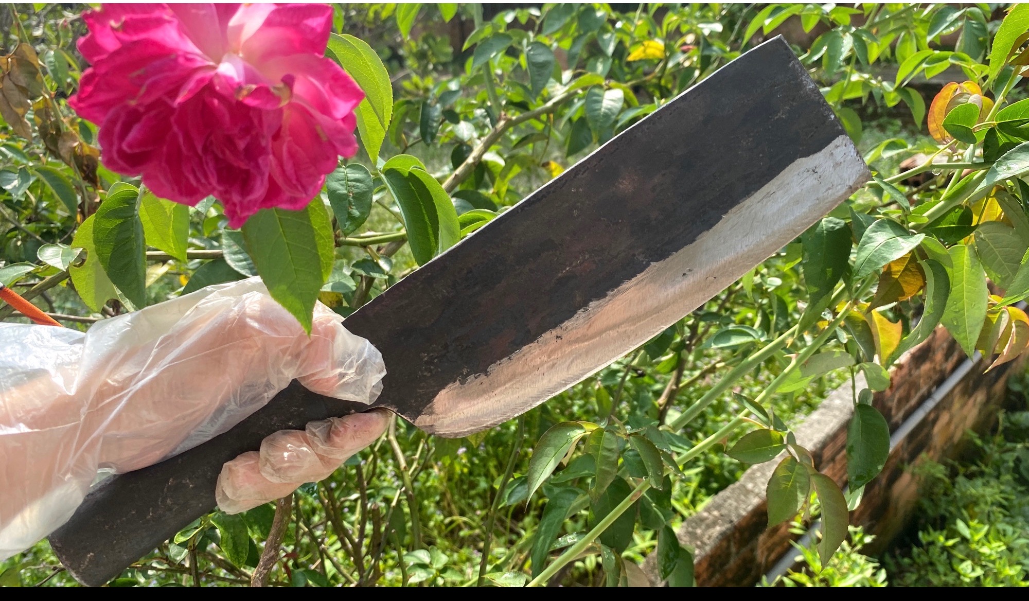 Dao chặt nặng +dao lọc,thái.(tặng 1 dao nhọn nhỏ)