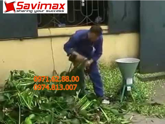 Máy băm xắt rau muống, rau cải cho gà, lợn giá rẻ