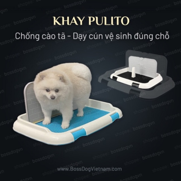 [HCM]Khay vệ sinh chó phù hợp mọi dòng cún Poodle Corgi Pom - Thiết kế có tường chống cào tã | BossDog