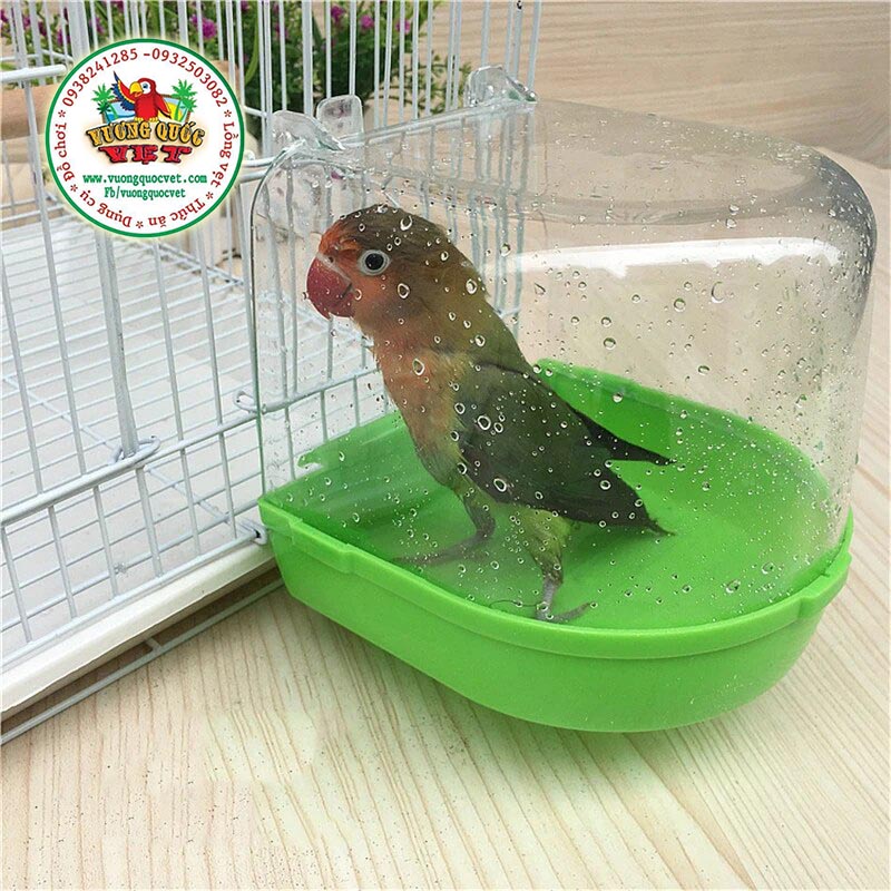 Hộp tắm cho chim vẹt