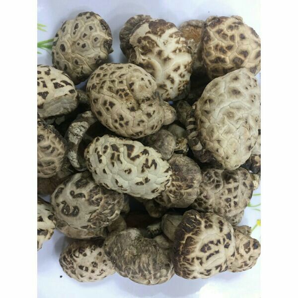 500g nấm đông cô