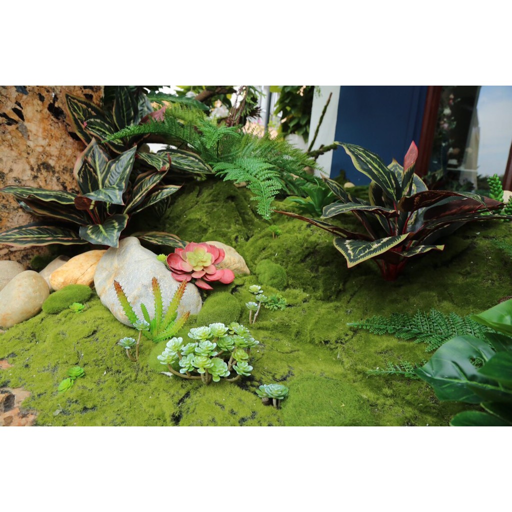 Thảm Rêu Trang Trí