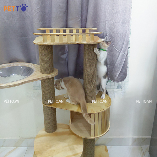 [HCM]Nhà Cây Cho Mèo Có Lồng Kính CH017