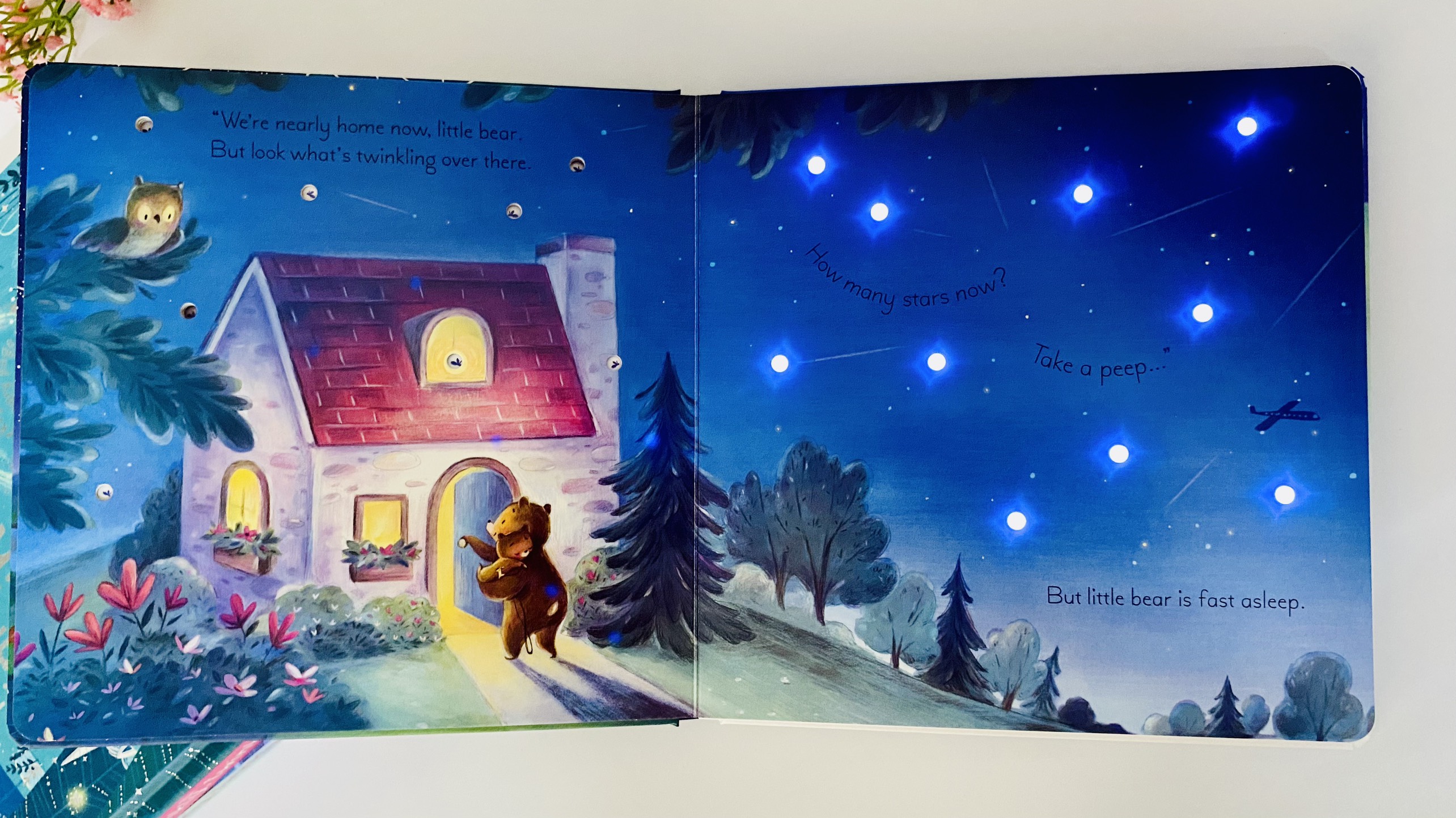 Twinkly Twinkly Bedtime Book