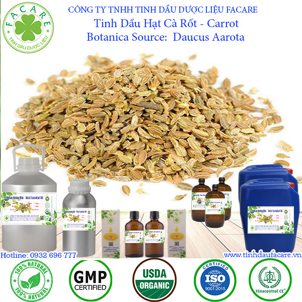 Tinh Dầu Hạt Cà Rốt Carrot seed essential oil - 10ml