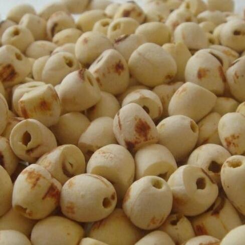 1kg sen khô loại đặc biệt