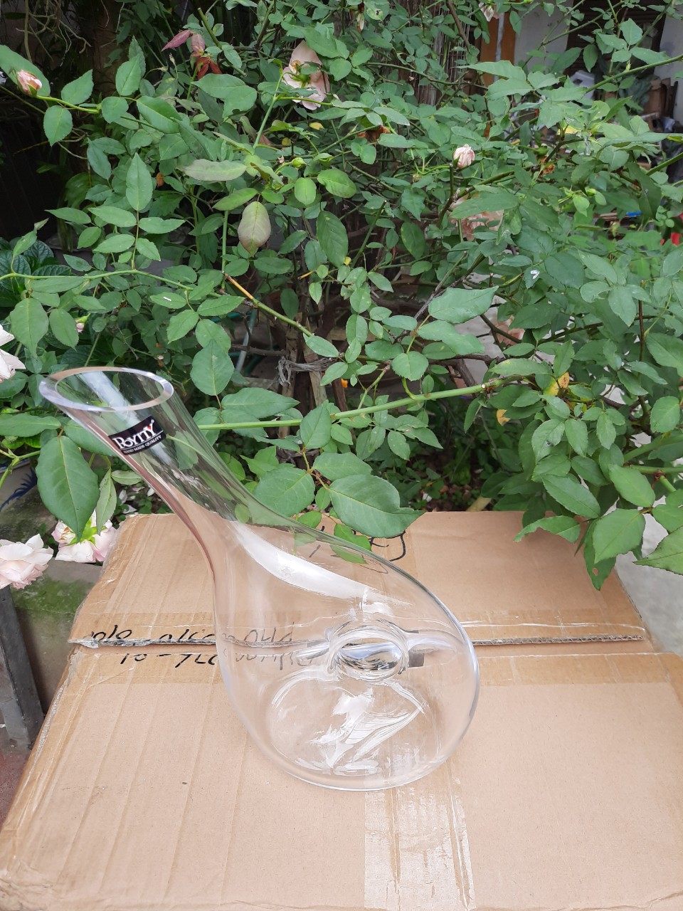 Decanter ốc sên dáng nghiêng