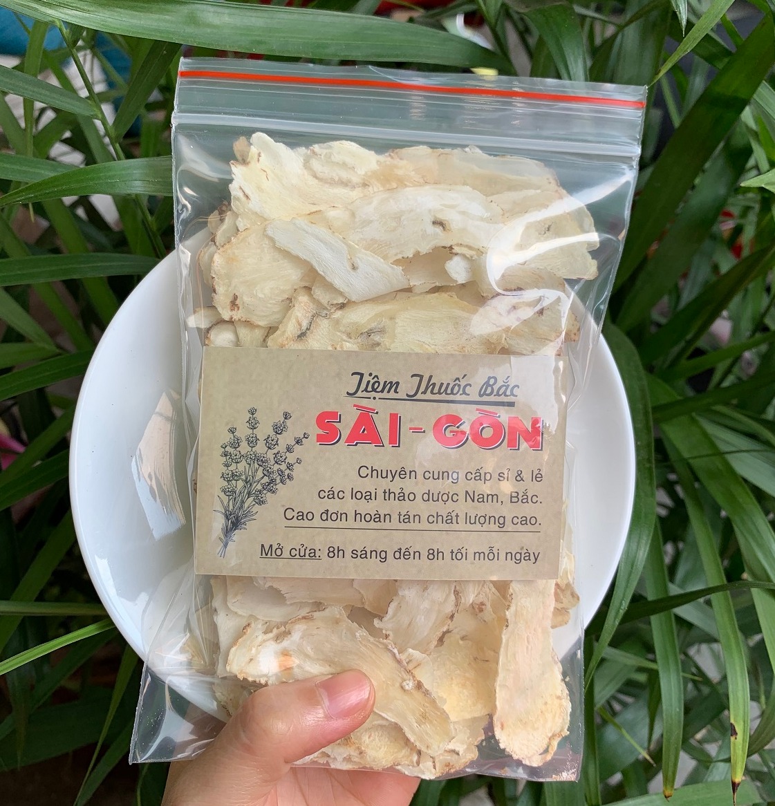 [HCM]Sâm Quy Thái Lát Thượng Hạng 100gram