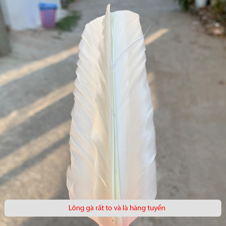 Cầu đá nghệ thuật Hải Đông cao cấp HD23 (1 quả)