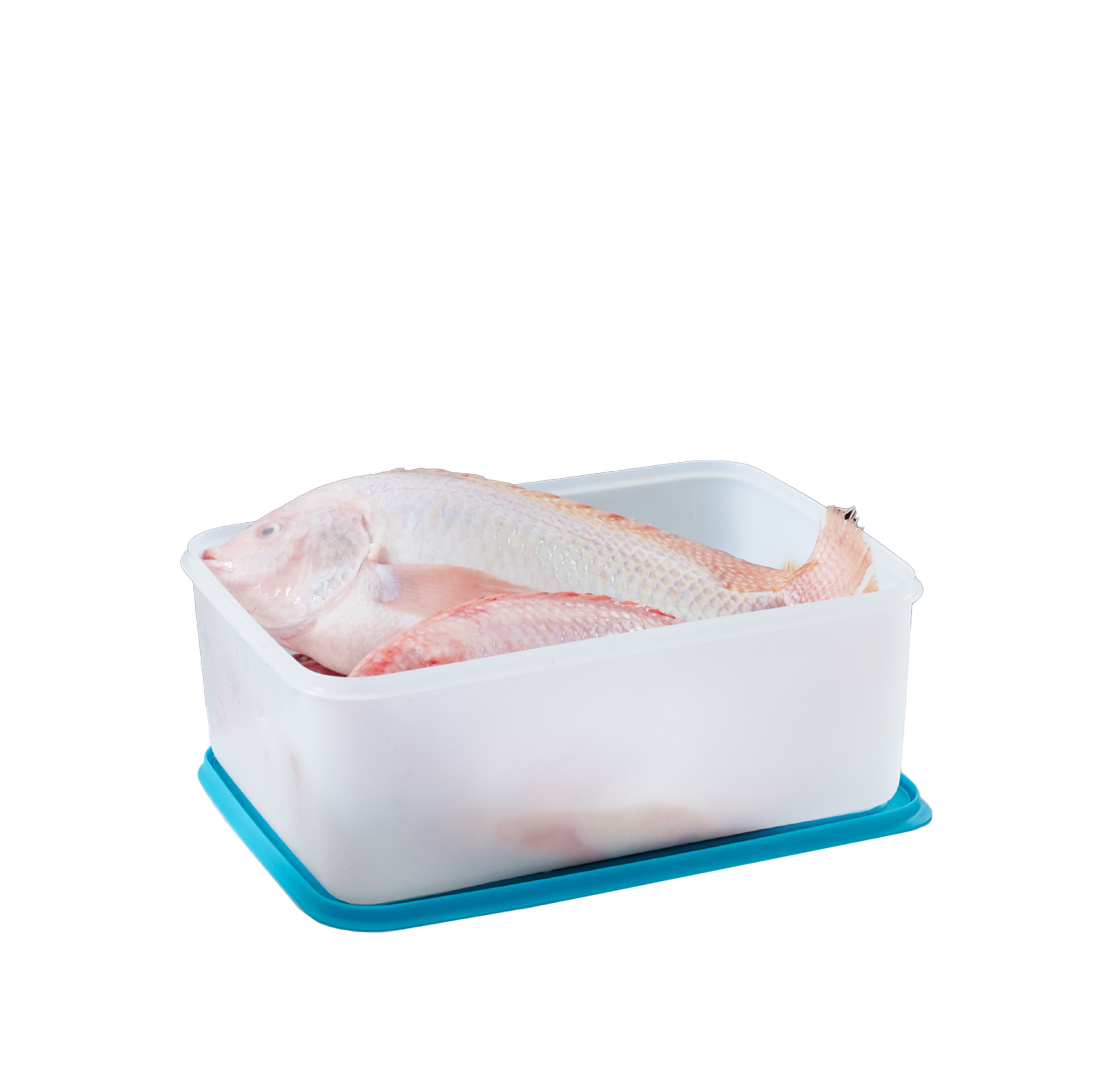 Hộp Trữ Đông Tupperware Freezermate Gen II 5.7L (1 Hộp)