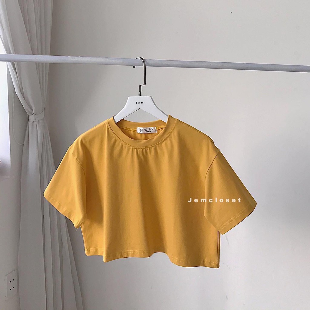 Áo Croptop Trơn ABI - 10084 (JEM CLOSET)