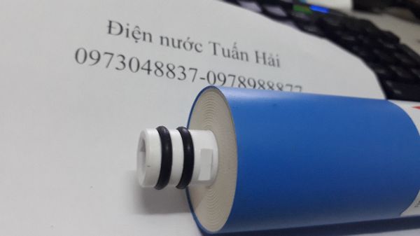 Combo bộ 4 quả loc nươc chinh hang