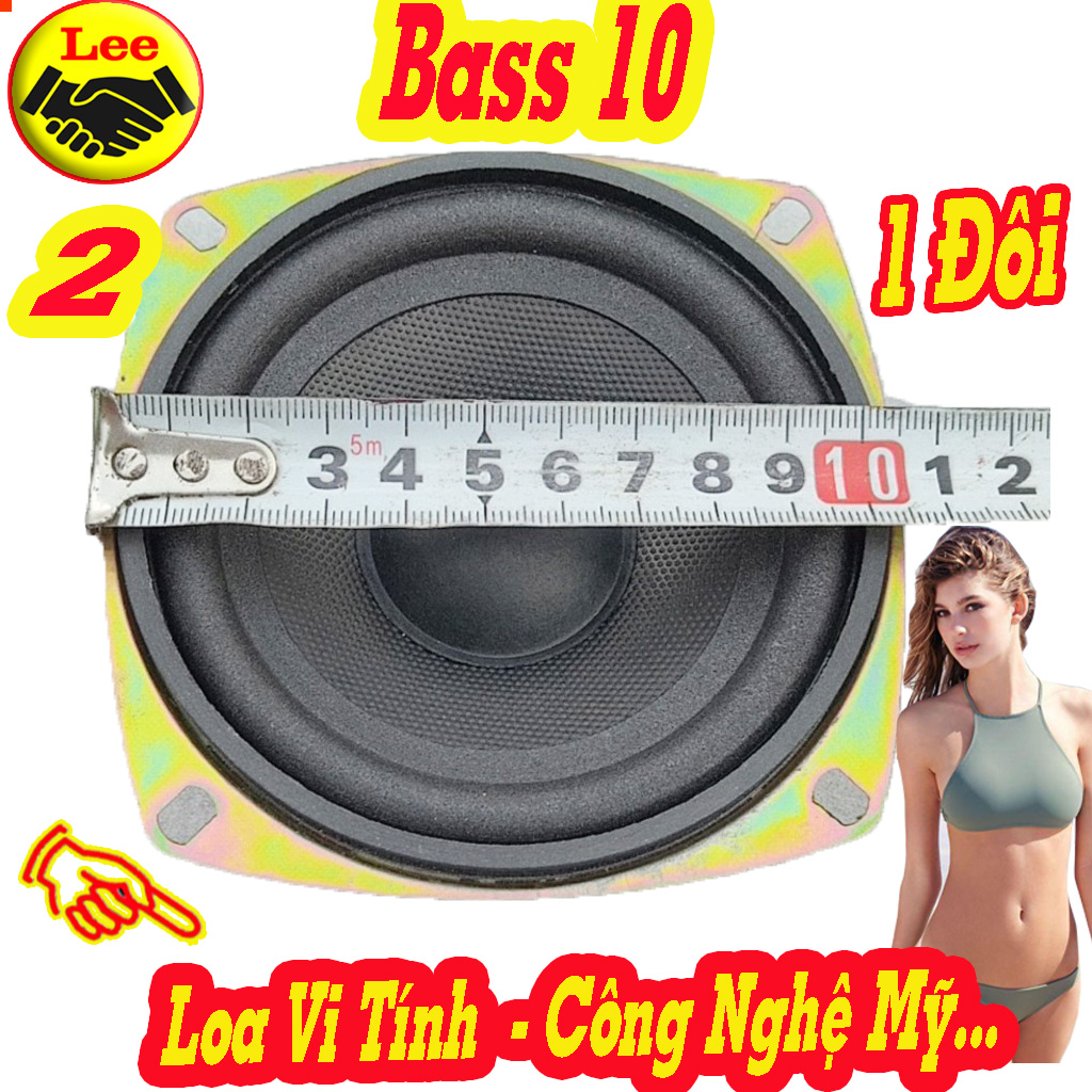 Loa bass 10 vi tính – giá 1 đôi