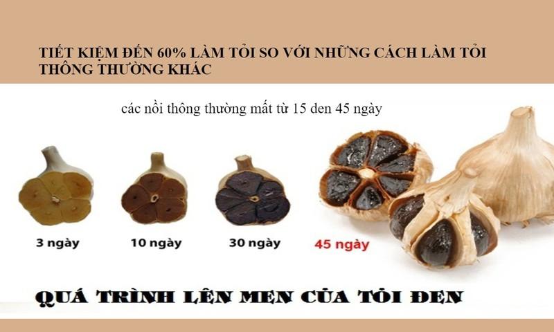 Máy làm tỏi đen Perfect PF-BG168