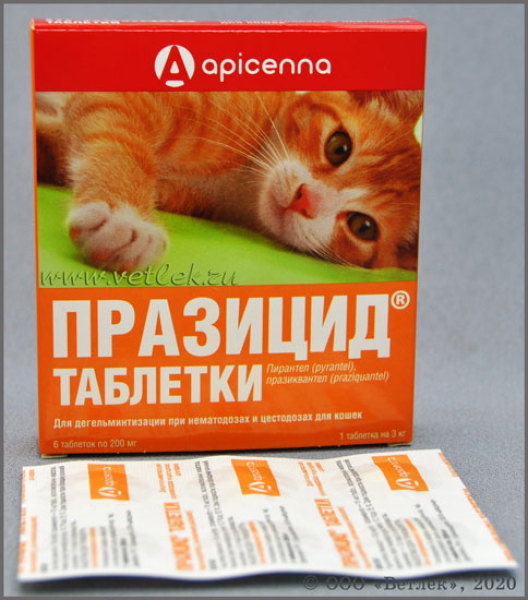 Prazi - Viên nhai hỗ trợ giun san cho mèo ( giá 1 viên )