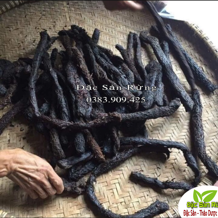 Nhục Thung Dung Khô ( 1kg )  - Tăng Sinh Lý