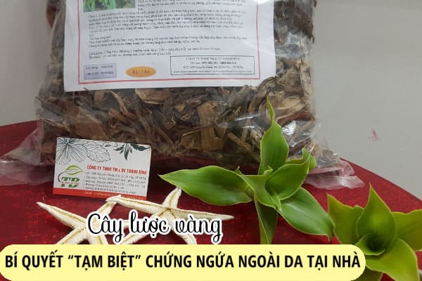 Cây Lược Vàng Tươi 1Kg - Thảo Dược Thanh Bình