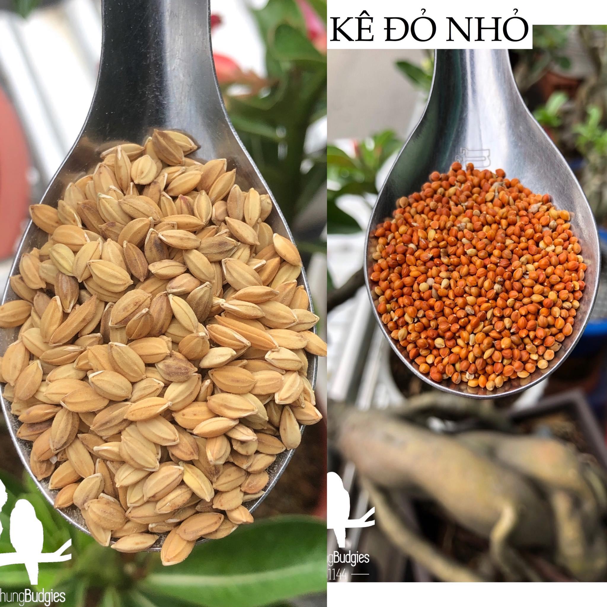 Kê đỏ & Lúa - thức ăn: Chim Cảnh, Gà.. (Combo 2kg)