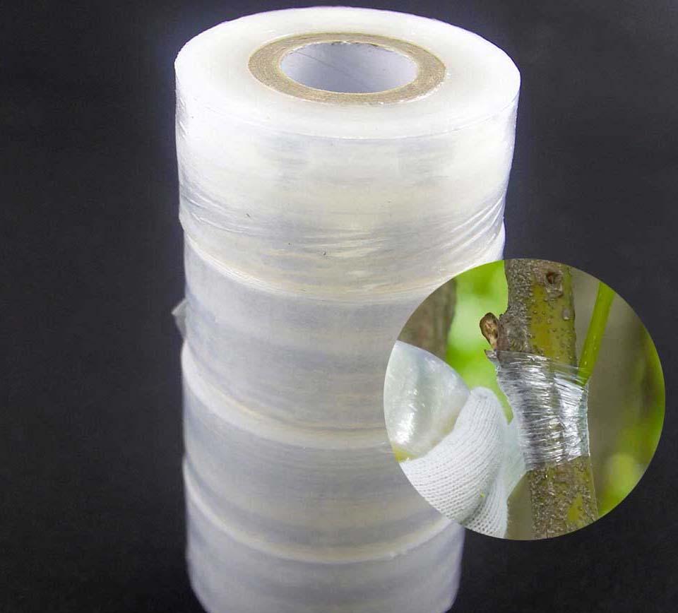 Băng keo ghép cành tự hủy 3cm