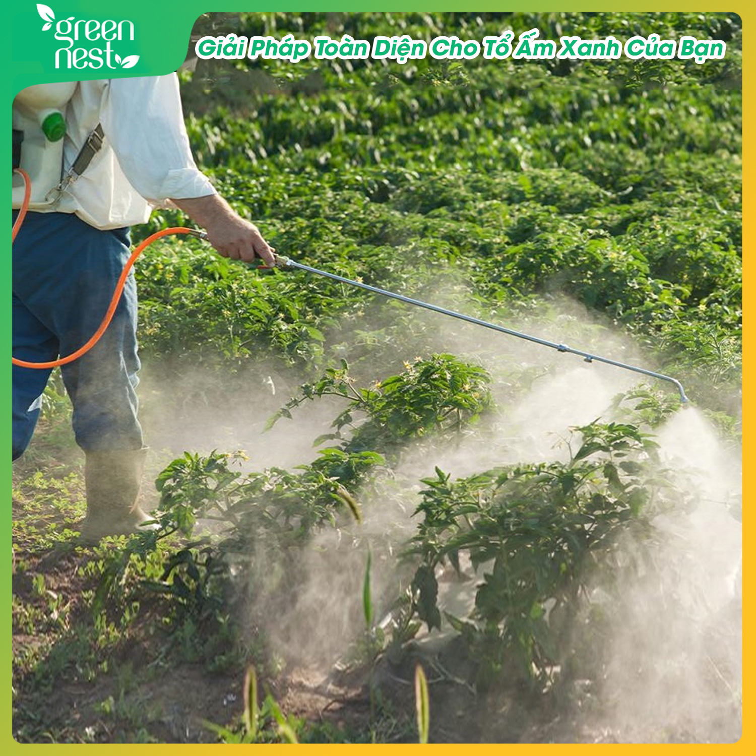 Thuốc Trừ Cỏ Glu - Fosate  Có Cháy Và Lưu Dẫn