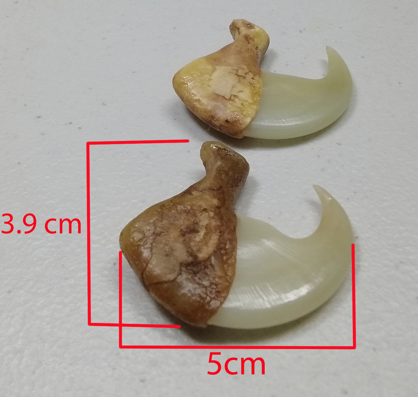 MÓNG NHƯ THẬT SIZE 5CM